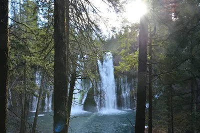 DSC_5929 (Large).JPG